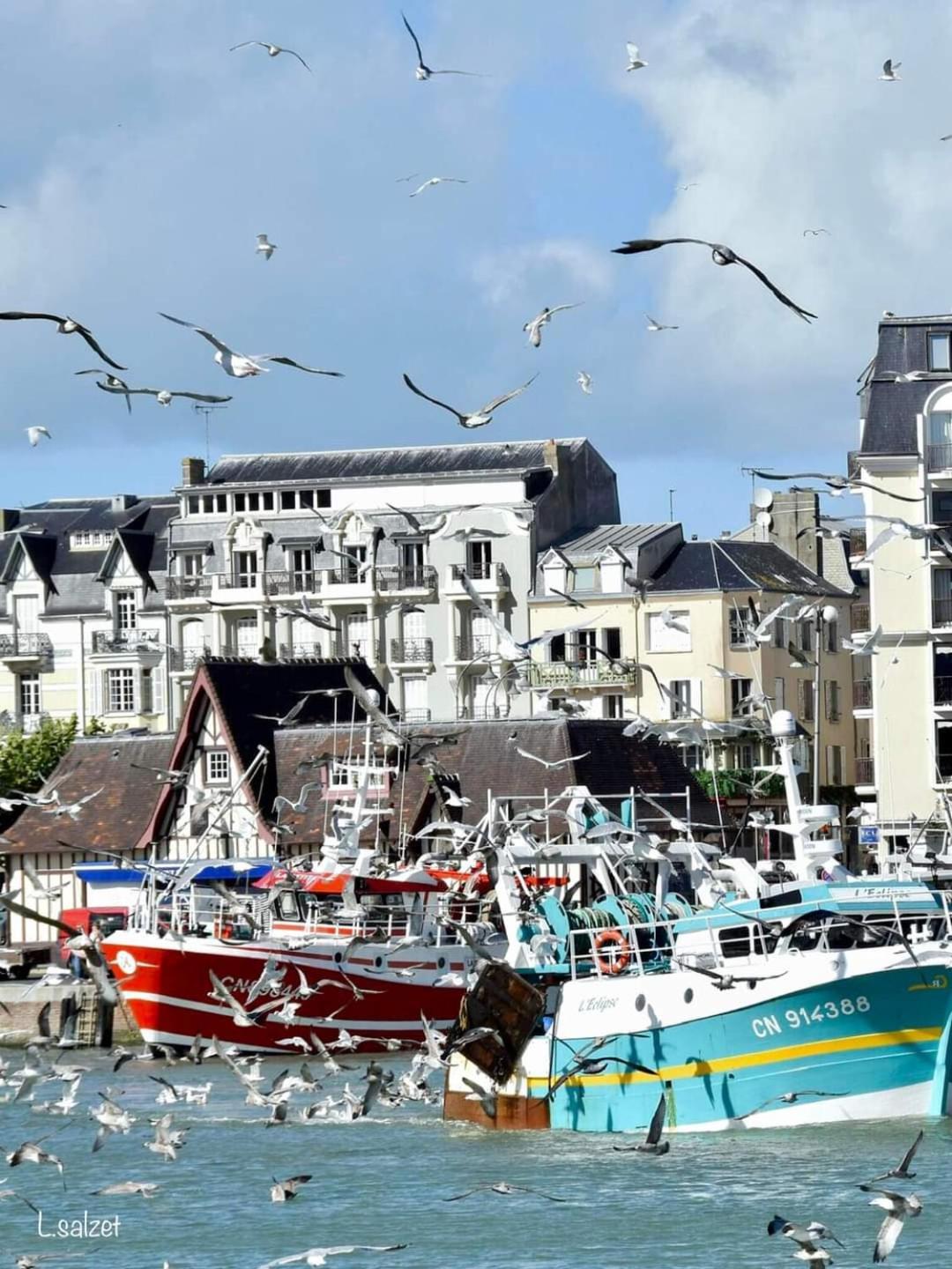 Studio De Charme A Trouville Sur Mer. מראה חיצוני תמונה
